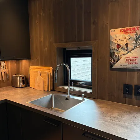 In Out, Modern Comfort By The Slopes 海姆瑟达尔